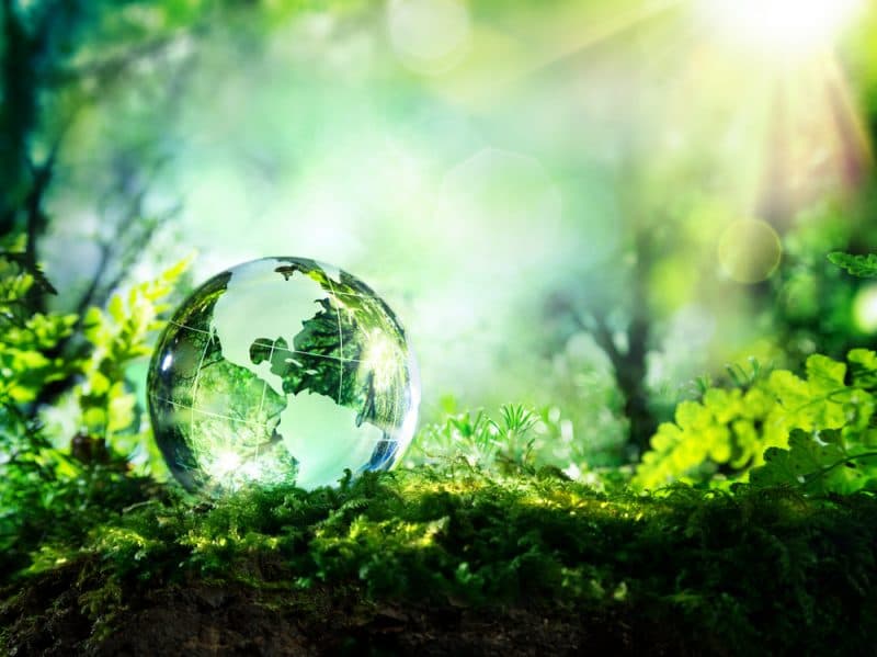 Deloitte: entro il 2050 l'80% dell'elettricità nei paesi G20 proverrà da fonti non fossili