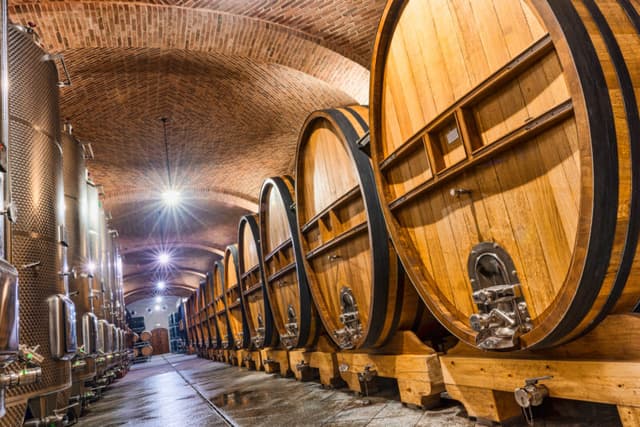 400 piccole cantine italiane alla conquista del mondo. Grazie all'e-commerce
