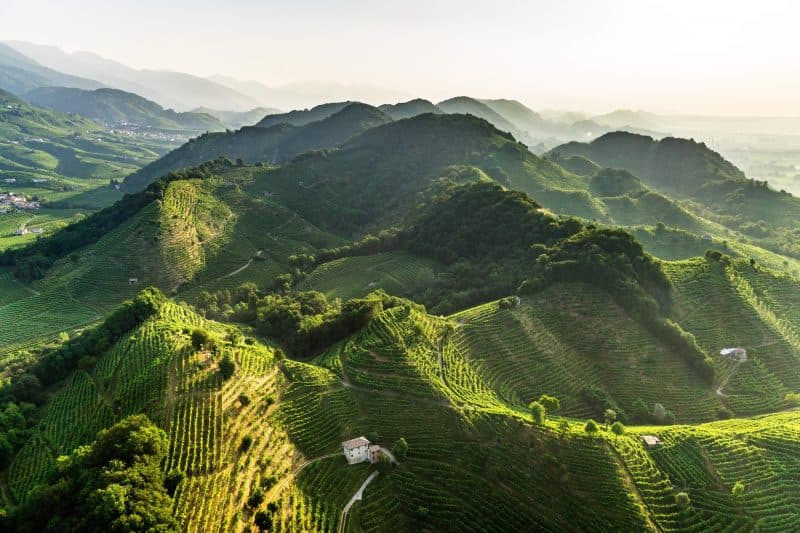 Innovazione e sostenibilità: così Val D’Oca è diventata una delle prime 50 aziende del settore vitivinicolo