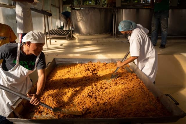 Viaggio nelle Filippine, dove si produce il rum che sta conquistando l’Europa
