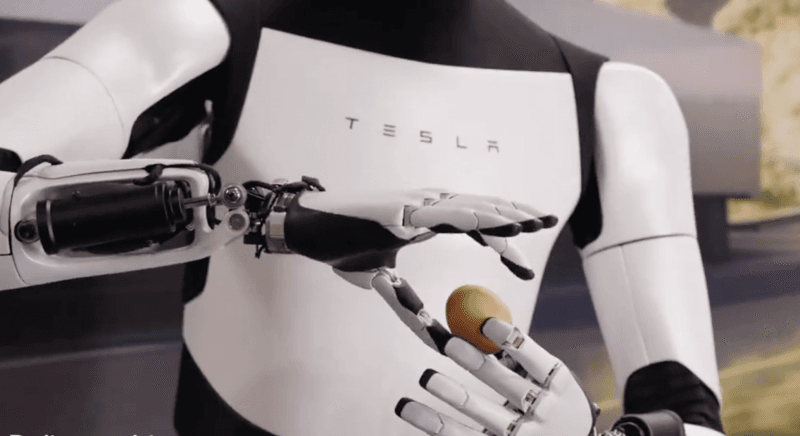Fa gli squat e maneggia le uova: Elon Musk presenta il nuovo Optimus Gen 2 di Tesla
