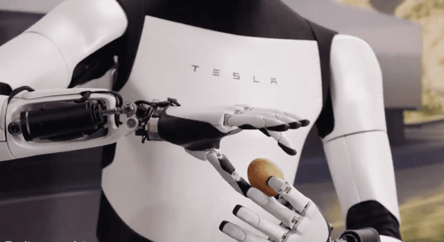 Fa gli squat e maneggia le uova: Elon Musk presenta il nuovo Optimus Gen 2 di Tesla