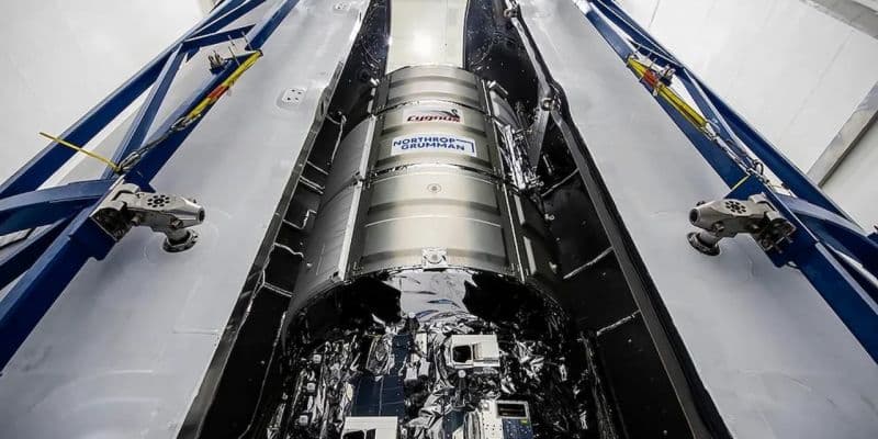 SpaceX si sta prendendo il "monopolio" dei lanci spaziali