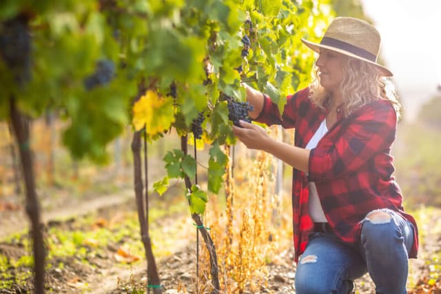 Disparità di genere nel settore vitivinicolo: il 49% delle donne vittime di violenza