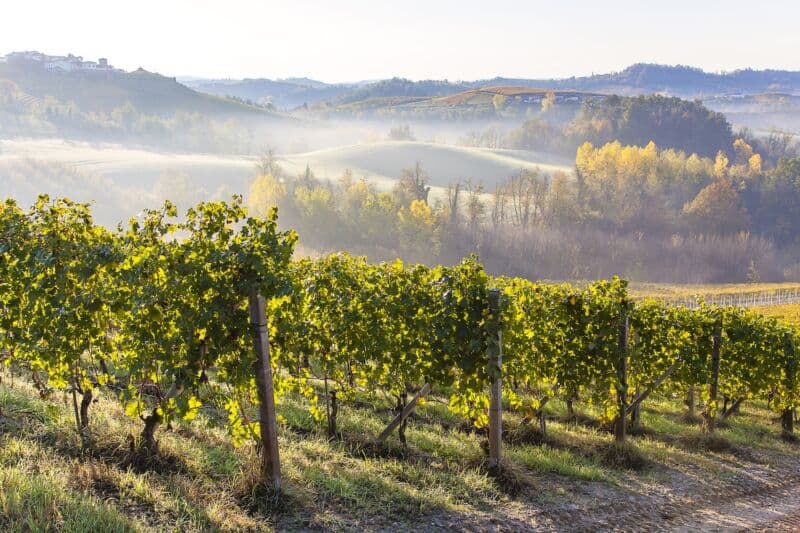 Boom del turismo enogastronomico in Italia: +176% nel 2024