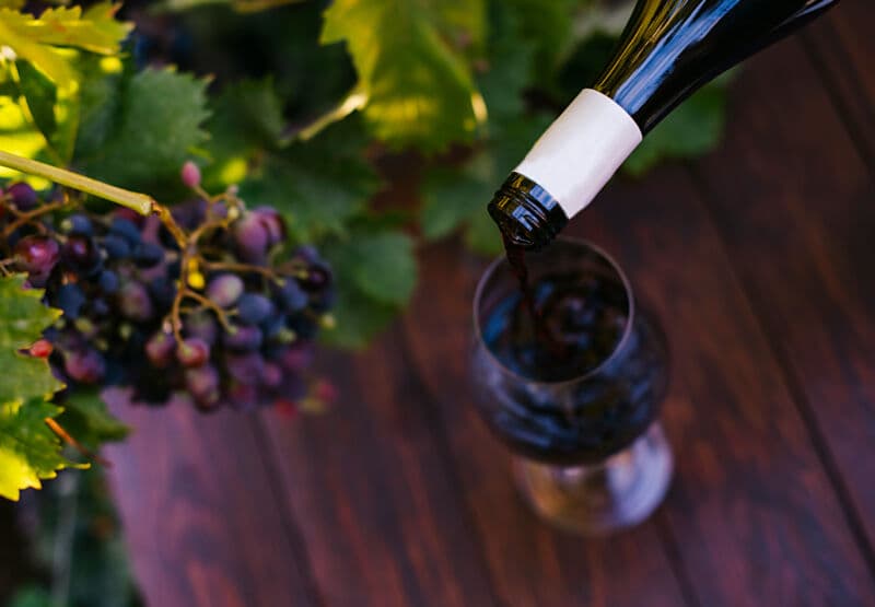 5 vini imperdibili per una Pasqua sostenibile e in linea con i nuovi trend di consumo