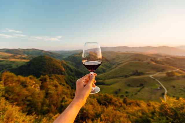 Ecco sei vini italiani contemporanei che raccontano il territorio